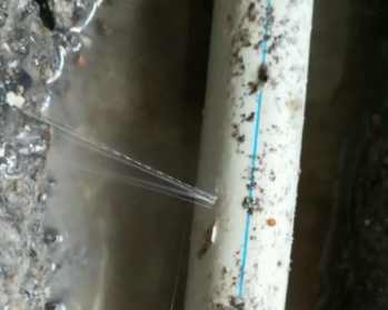 仪陇卫生间测漏水多少钱