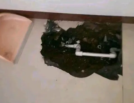 仪陇卫生间测漏水多少钱